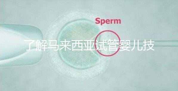 了解馬來(lái)西亞試管嬰兒技術(shù)看這里!為你科普5大醫(yī)院排名