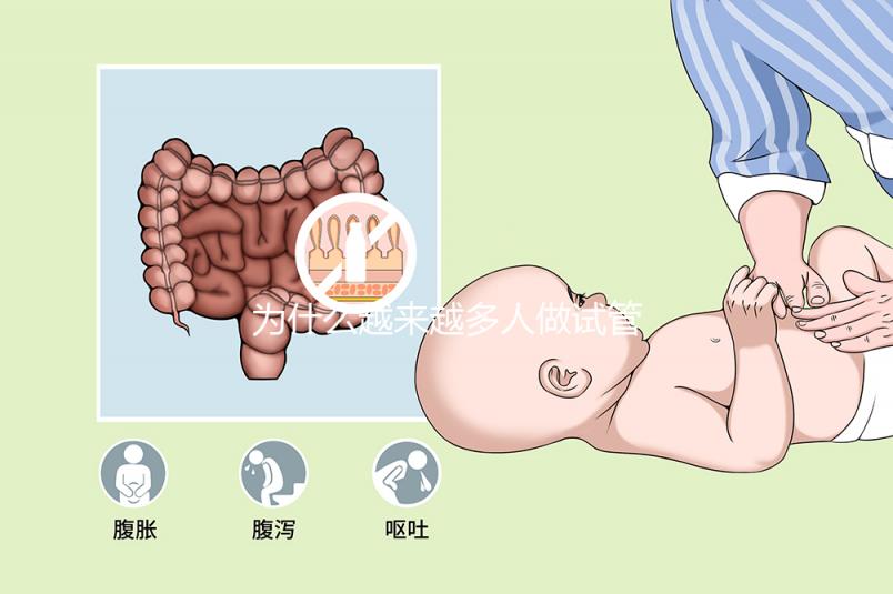 為什么越來(lái)越多人做試管嬰兒？