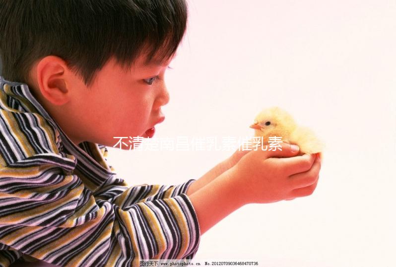 不清楚南昌催乳素催乳素催收如何收費快速閱讀，專業問題讓你花更少的錢