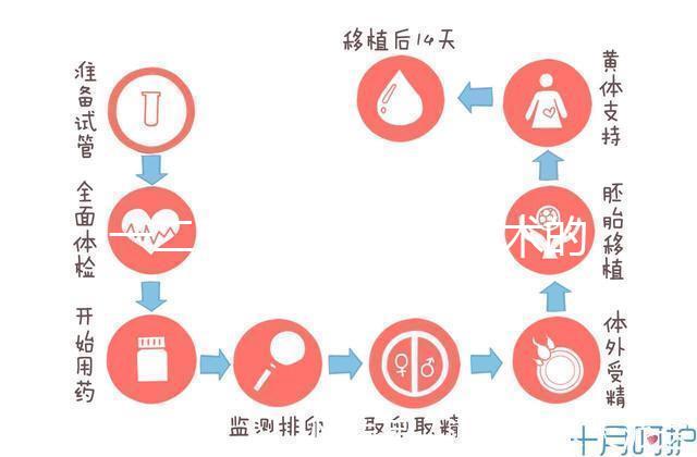 一二三代試管嬰兒技術(shù)的比較
