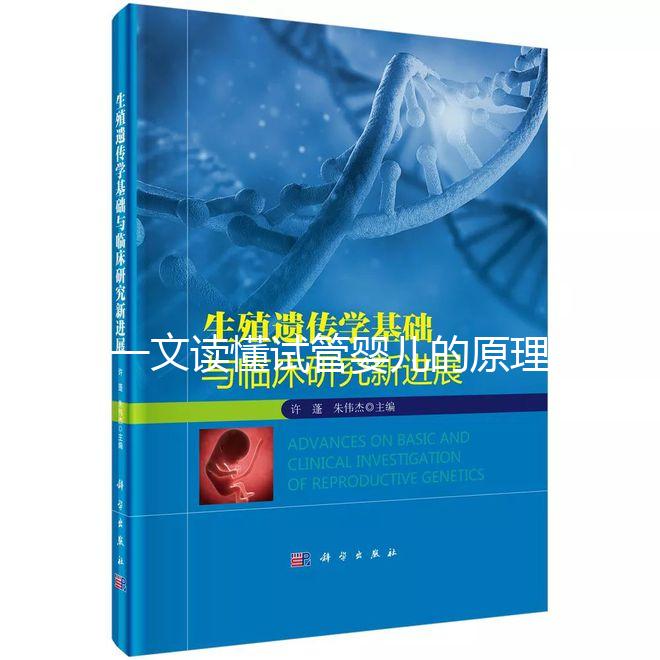 一文讀懂試管嬰兒的原理：點亮生命希望的科技之光