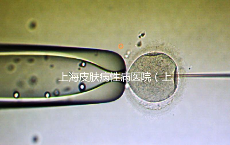 上海皮膚病性病醫院（上海梅毒醫院排名第一）