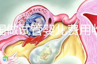 中國做試管嬰兒費用收費價目表一覽，包含具體成本預算