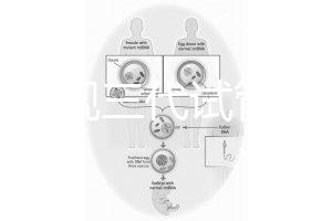 中國正規三代試管嬰兒機構名單，2025生殖機構排名參考