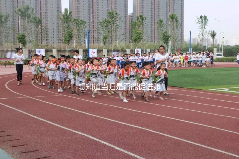 想知道當歸是否能促進卵泡發育，加入棗也能補充內膜