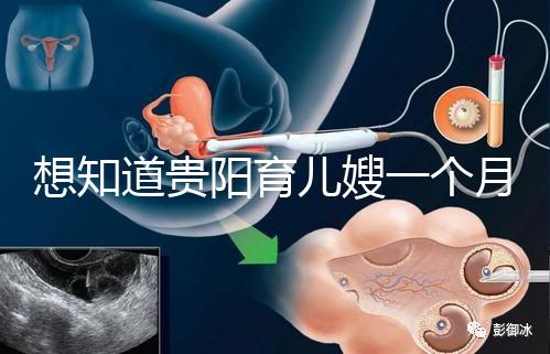 想知道貴陽(yáng)育兒嫂一個(gè)月戳多少錢，云巖2萬(wàn)夠不夠