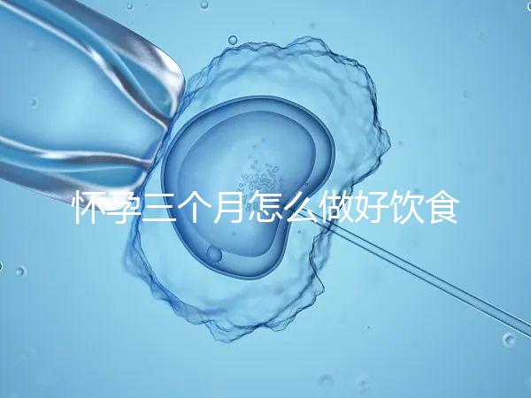 懷孕三個(gè)月怎么做好飲食安排？