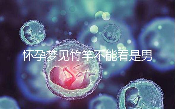 懷孕夢見竹竿不能看是男孩or女孩，解讀胎夢預(yù)兆別太主觀