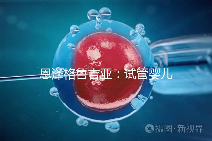 恩澤格魯吉亞:試管嬰兒助孕囊胚移植后,著床時間全解析