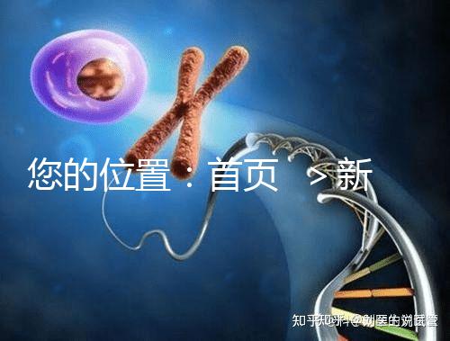 您的位置：首頁  ＞新聞中心＞醫院動態