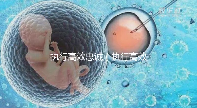 執(zhí)行高效忠誠（執(zhí)行高效忠誠的成語）