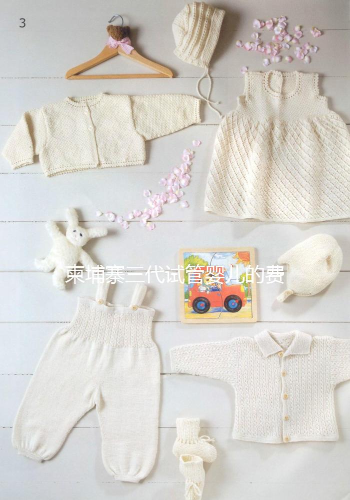 柬埔寨三代試管嬰兒的費用、成功率、流程一文說明！