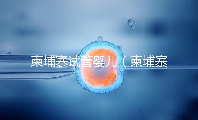 柬埔寨試管嬰兒（柬埔寨試管嬰兒最好的醫院）