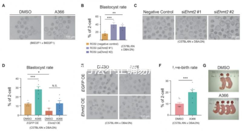 服用方法不正確易產(chǎn)生不良反應？利維愛的副作用解析