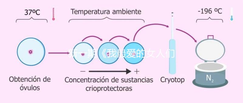 新一期《我最愛(ài)的女人們》，蔡少芬自曝第一胎曾小產(chǎn)