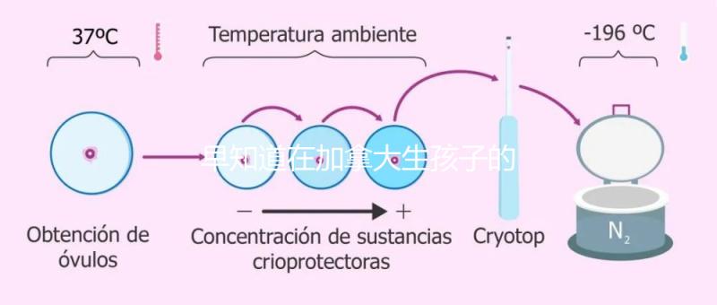 早知道在加拿大生孩子的國籍是什么！最后期限附回國定居