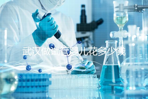 武漢做試管嬰兒花多少錢？