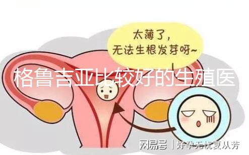 格魯吉亞比較好的生殖醫院是哪家，助孕成功率高還看這4家