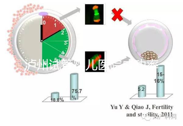 瀘州試管嬰兒醫院成功率排名，西南醫科大學附屬醫院上榜