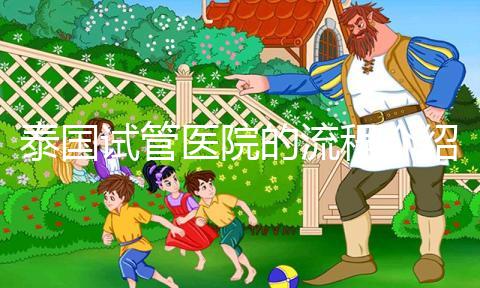 泰國試管醫(yī)院的流程介紹，9個(gè)步驟全部完成