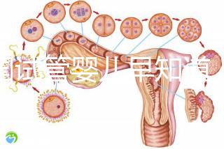泰國試管嬰兒早知道，威它尼醫院Vejthani圖文攻略