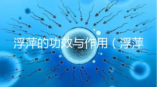 浮萍的功效與作用（浮萍泡水治蕁麻疹喝多久）