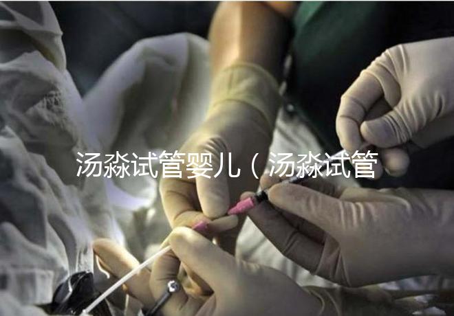 湯淼試管嬰兒（湯淼試管嬰兒是怎么來的）