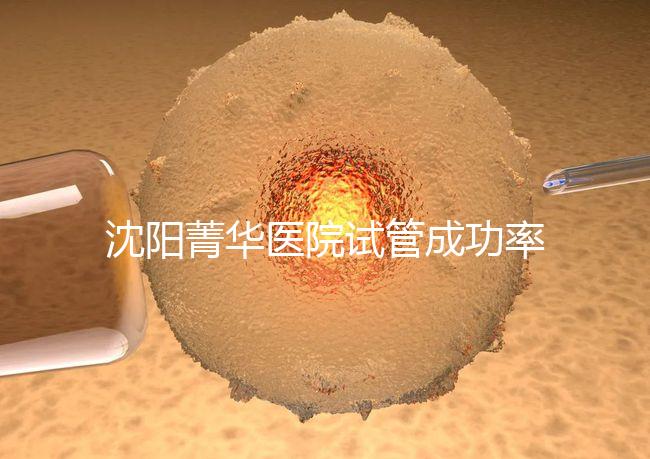沈陽(yáng)菁華醫(yī)院試管成功率高嗎？教你4招提升胚胎著床機(jī)會(huì)