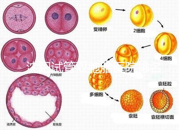 沈陽試管雙胞胎醫(yī)院排名速覽，60s告訴你皇姑區(qū)有哪些