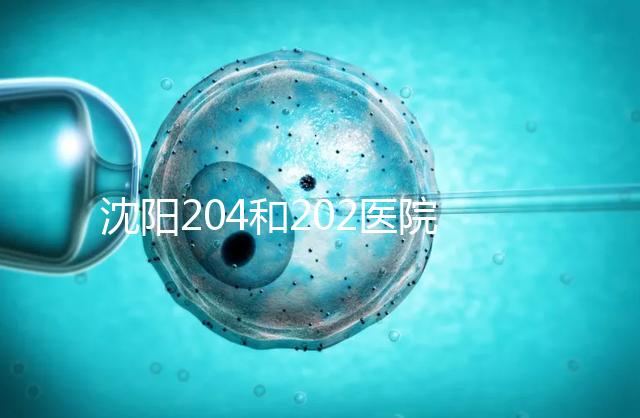 沈陽204和202醫(yī)院哪個好？東港市做過試管嬰兒的姐妹這樣說