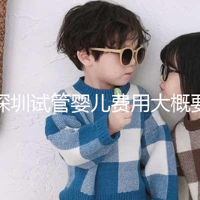 深圳試管嬰兒費(fèi)用大概要多少錢：2024年費(fèi)用概覽