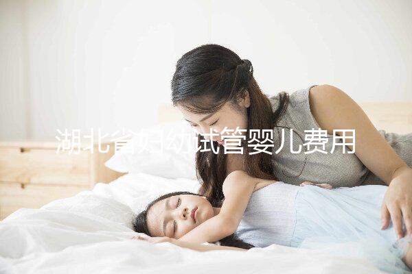 湖北省婦幼試管嬰兒費用指南，單次助孕收費標準參考
