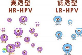 孕前檢查項目有哪些？