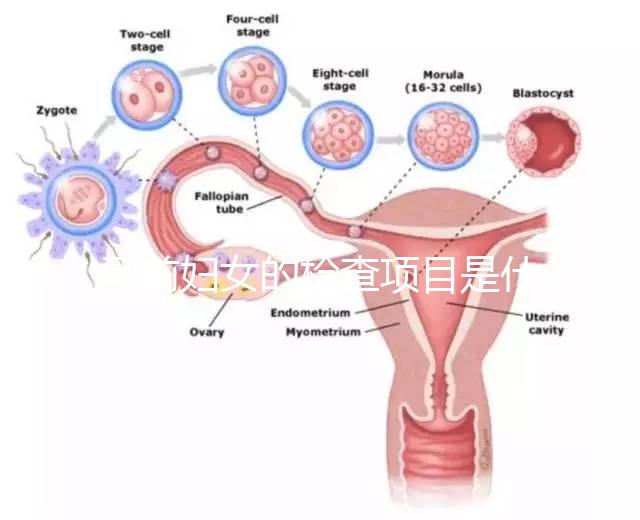 孕前婦女的檢查項目是什么？
