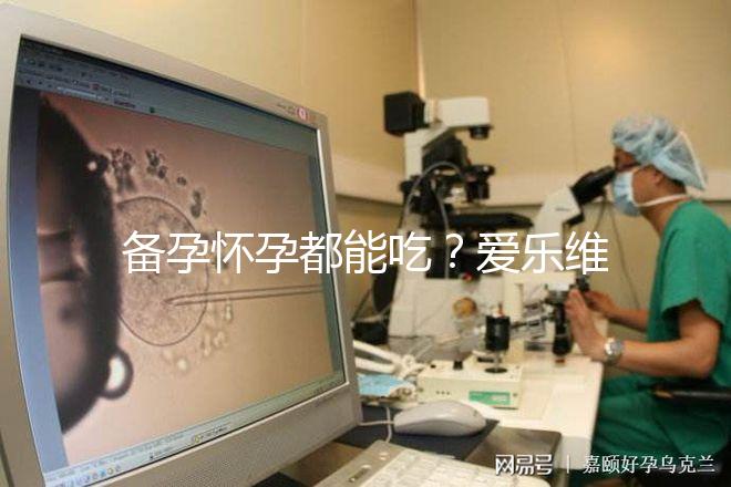 備孕懷孕都能吃？愛(ài)樂(lè)維的作用和功效大盤點(diǎn)