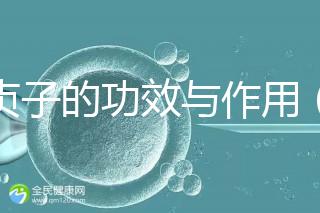 女貞子的功效與作用(女貞子是熱性還是寒性)