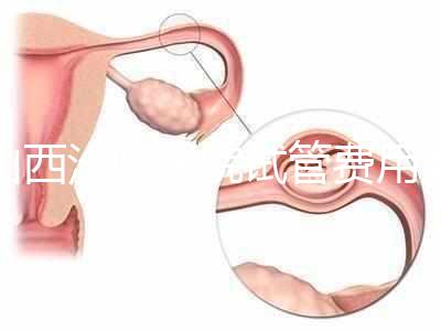 山西汾陽醫(yī)院試管費用清單公布，2024年生殖科助孕成功率公布