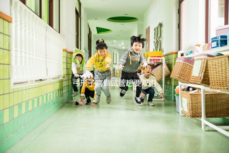 弓形子宮做試管想要雙胞胎，這4個條件成為攔路虎！