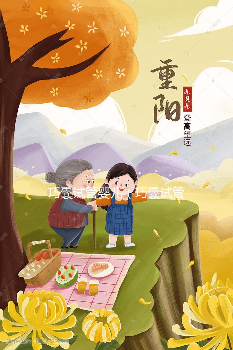 巧囊試管嬰兒（巧囊試管嬰兒成功率高嗎）