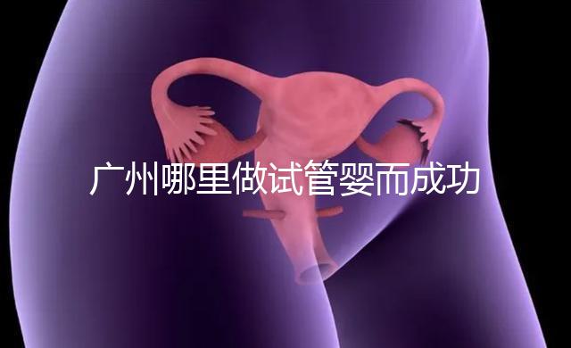 廣州哪里做試管嬰而成功率高?如何提高成功率?