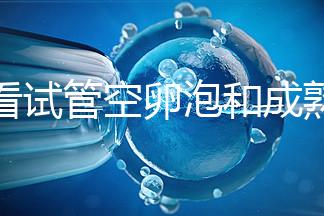 速看試管空卵泡和成熟卵泡能否區(qū)分開,這兩大技巧學(xué)起來