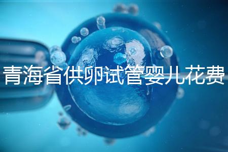 青海省供卵試管嬰兒花費(fèi)明細(xì)表一覽,一次成功助孕費(fèi)用最低