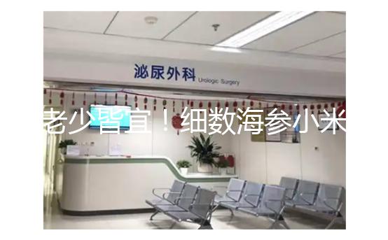 老少皆宜！細數海參小米粥常見的6大功效