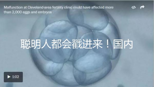 聰明人都會(huì)戳進(jìn)來(lái)！國(guó)內(nèi)試管嬰兒和泰國(guó)試管嬰兒優(yōu)缺對(duì)比