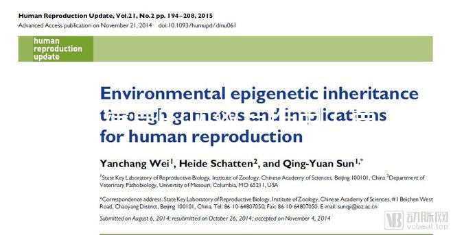 苜蓿草的功效與作用（苜蓿草的功效與作用點圖片）