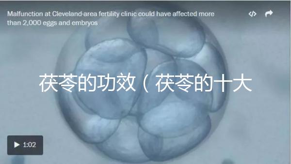 茯苓的功效(茯苓的十大功效與作用)