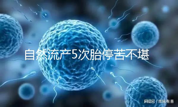 自然流產5次胎?？嗖豢把?， 試管嬰兒助孕一朝分娩喜之不盡！