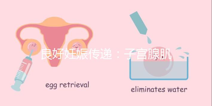 良好妊娠傳遞：子宮腺肌病，移植成功！