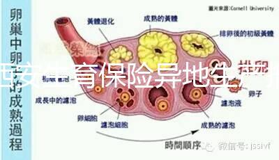 西安生育保險異地生產報銷流程及程序公開，不懂收藏