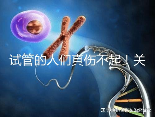 試管的人們真?zhèn)黄穑￡P于養(yǎng)囊的成功率這些你得知道